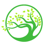 College Guys 4 Hire, Shreveport Bossier Louisiana